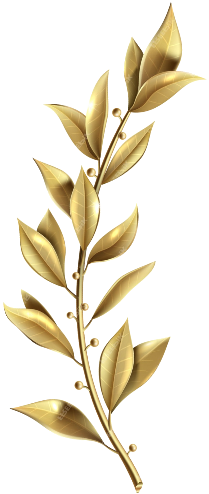 Leaf accent-left