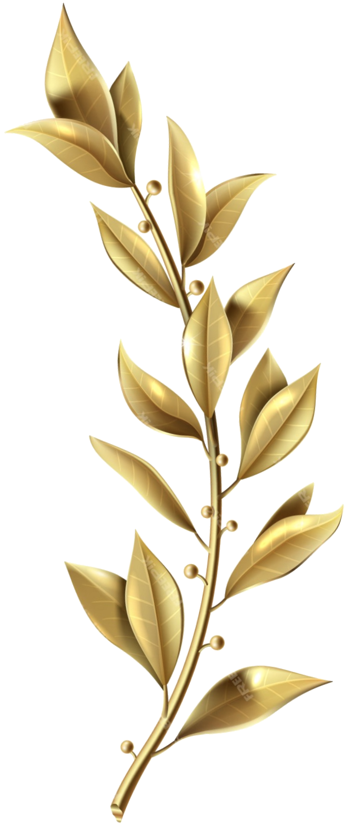Leaf accent-right
